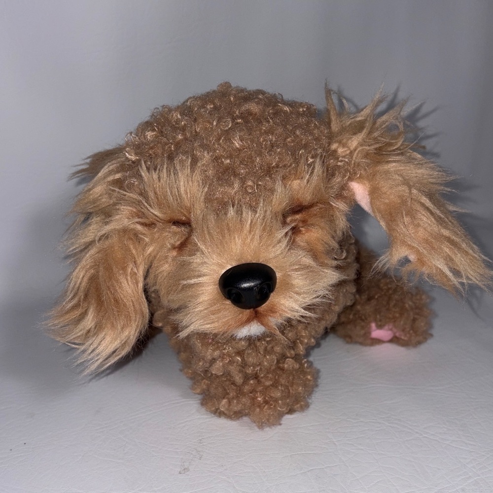 Little Live Pets My Really Real Puppy Curley the Cavoodle Toy Puppy